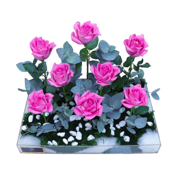 DESIGN 538